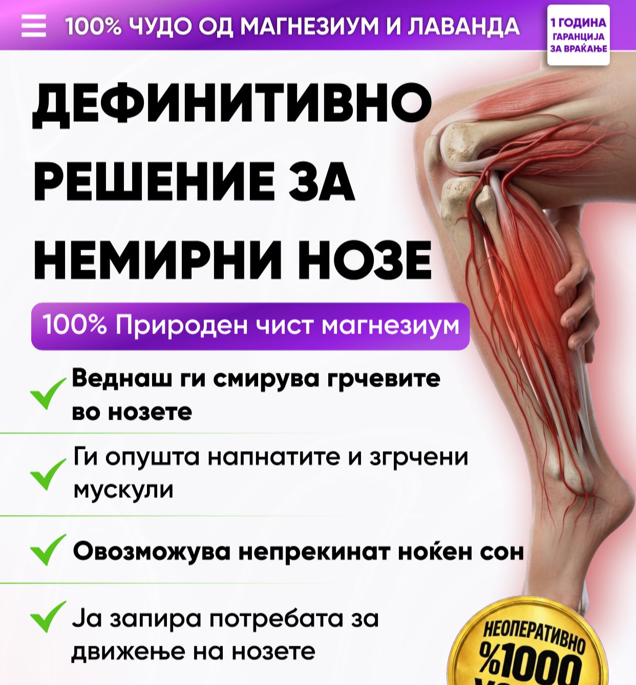 Promotional Imasge 1
